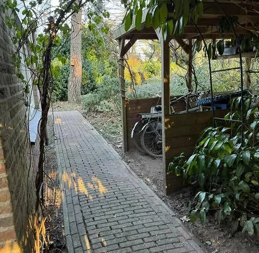 別荘 Bosrijke Vakantiewoning ロヘム