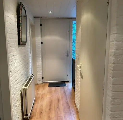 Bosrijke Vakantiewoning ロヘム