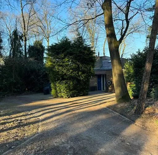 Bosrijke Vakantiewoning * ロヘム